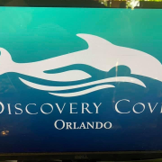 Discovery Cove Orlando photo submitted by Deana Hibbard