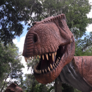 Dinosaur World Florida photo submitted by Tracy Hardy