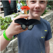 Butterfly Palace & Rainforest Adventure photo submitted by Lonnie Whitton