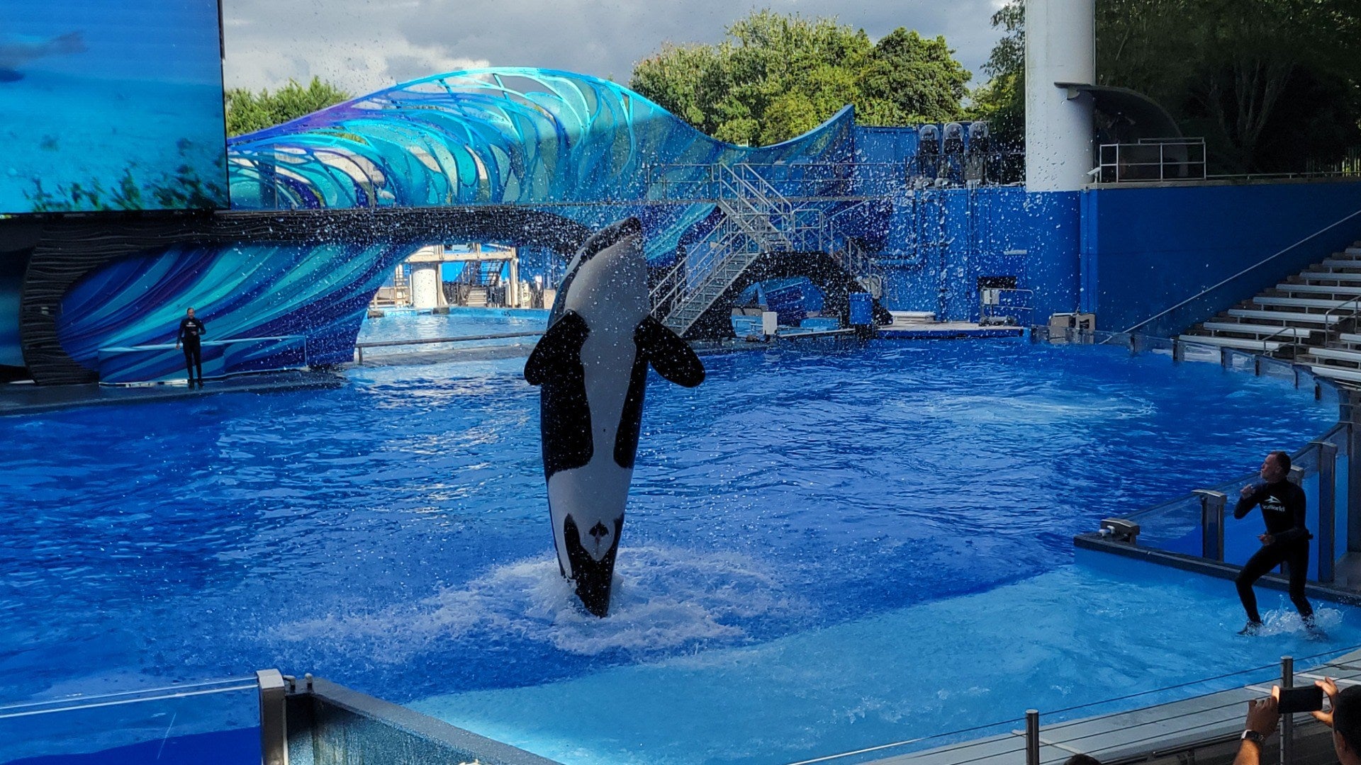 SeaWorld Tickets Orlando - Deals & Packages