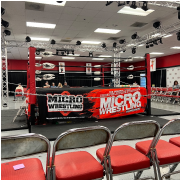 Micro Wrestling photo submitted by Jennifer  Henderson 