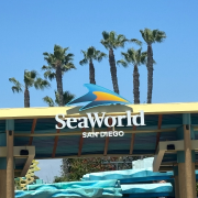 SeaWorld San Diego photo submitted by Danea  Smith
