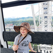 The Great Smoky Mountain Wheel photo submitted by Gibby Metcalf Cross