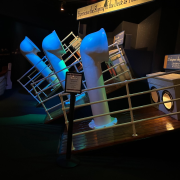 Titanic Museum Attraction photo submitted by Debra Bradford
