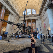 American Museum of Natural History photo submitted by Ewelina Angelika Sobocinska