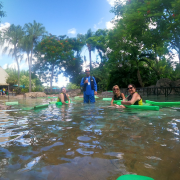 Discovery Cove Orlando photo submitted by Janine  MacFarlane 