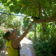 Discovery Cove Orlando photo submitted by Janine  MacFarlane 