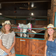 Dolly Parton's Stampede Dinner Attraction photo submitted by Tina Prescher