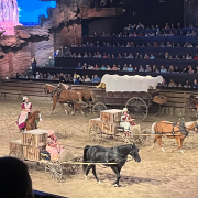 Dolly Parton's Stampede Dinner Attraction photo submitted by Tina Prescher