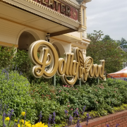 Dollywood photo submitted by Desaray Cruz