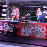 Micro Wrestling photo submitted by Melody Butera