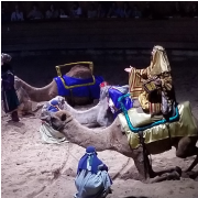 Dolly Parton's Stampede Dinner Attraction photo submitted by Susan Maddux