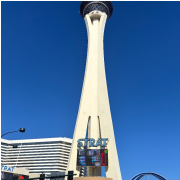 Big Bus Sightseeing Tours Las Vegas photo submitted by Lyndi Hutchinson