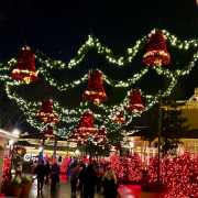 Dollywood photo submitted by Stephanie Ingle