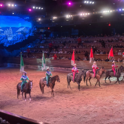 Dolly Parton's Stampede Dinner Attraction photo submitted by Rick Galloway