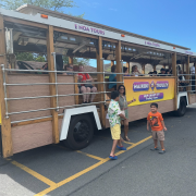 Waikiki Trolley photo submitted by Piyush Singla