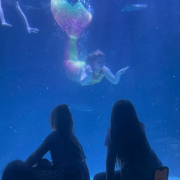 Ripley's Aquarium of Myrtle Beach photo submitted by Cheyenne Burnette