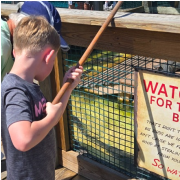 Gatorland photo submitted by Darrell Schacht