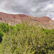 Verde Canyon Railroad Train Ride photo submitted by Pablo Rodriguez