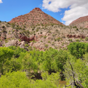 Verde Canyon Railroad Train Ride photo submitted by Pablo Rodriguez
