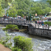 Ripley's Aquarium of the Smokies photo submitted by James Camplin