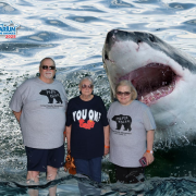 Ripley's Aquarium of the Smokies photo submitted by James Camplin