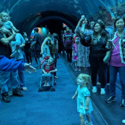 Georgia Aquarium photo submitted by Erin Arant
