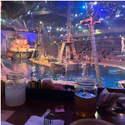 Pirates Voyage - Dinner & Show photo submitted by Amanda Burns