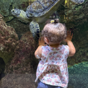 San Antonio Aquarium photo submitted by Bernadette Contreras