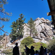 Palm Springs Aerial Tramway photo submitted by Denise Egge