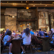 Pirates Voyage - Dinner & Show photo submitted by Louella David
