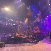 Pirates Voyage - Dinner & Show photo submitted by Louella David