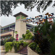 San Antonio Zoo photo submitted by Julianne Perkins