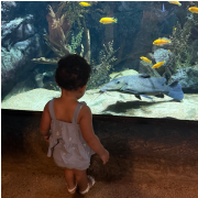 San Antonio Zoo photo submitted by Julianne Perkins