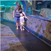 Ripley's Aquarium of the Smokies photo submitted by Debra Singleton