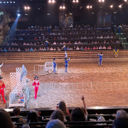 Dolly Parton's Stampede Dinner Attraction photo submitted by Anna Baham