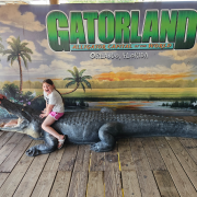 Gatorland photo submitted by Angela Rauch