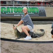 Gatorland photo submitted by Angela Rauch