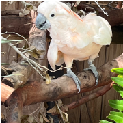 Gatorland photo submitted by Hayley Palmer