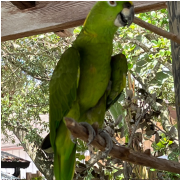 Gatorland photo submitted by Hayley Palmer
