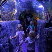 SEA LIFE San Antonio photo submitted by Bryan Gomez-Robinson