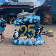 Ripley's Aquarium of the Smokies photo submitted by Sonya Shelby