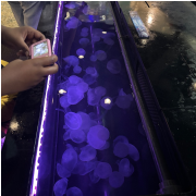 The Florida Aquarium photo submitted by Clarissa Sallye
