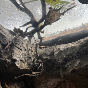 The Florida Aquarium photo submitted by Clarissa Sallye