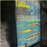 The Florida Aquarium photo submitted by Clarissa Sallye