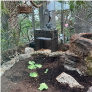 The Florida Aquarium photo submitted by Clarissa Sallye