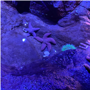 The Florida Aquarium photo submitted by Clarissa Sallye