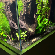 The Florida Aquarium photo submitted by Clarissa Sallye