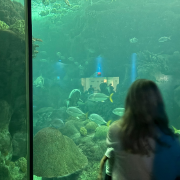 The Florida Aquarium photo submitted by Clarissa Sallye