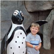 Ripley's Aquarium of the Smokies photo submitted by Teral kelley